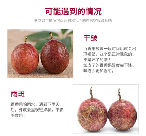 廣西百香果大果3斤現摘新鮮水果批發指南 把握黃金品質，搶占市場先機